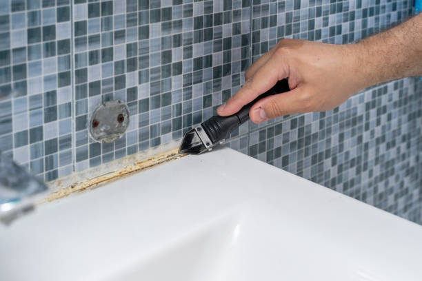 Best Local Mold Removal Service  in Milan, MO