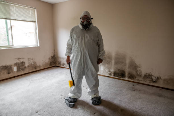 Attic Mold Removal in Milan, MO
